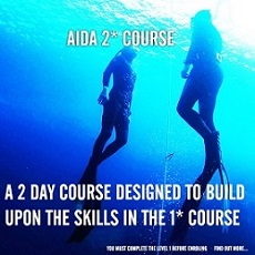 AIDA course ** 