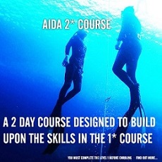 AIDA course **