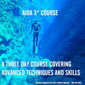 AIDA course ***