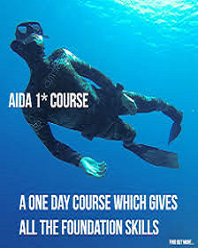 AIDA course *