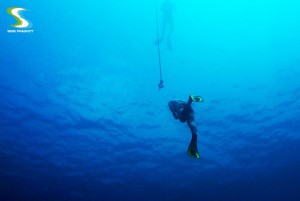 AIDA free diving course sss phuket